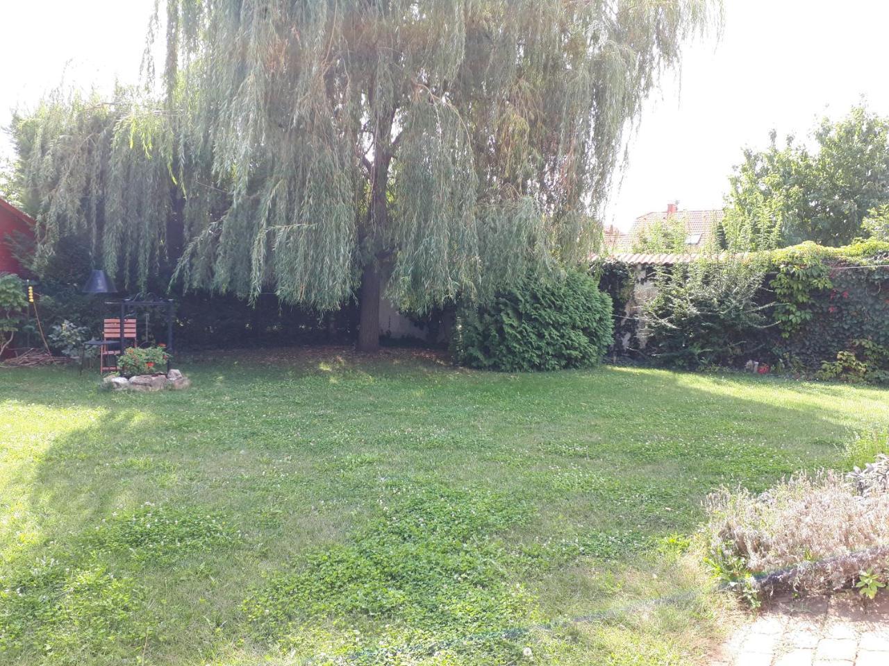 Kertvarosi Apartman Tiszaújváros 外观 照片